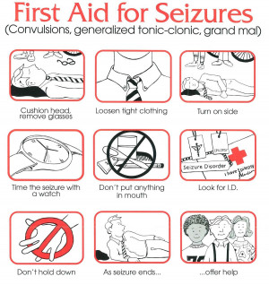 First-Aid-for-Seizures(3)_Page_2