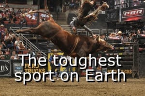 Funny Bull Riding Quotes