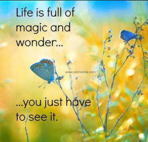 Life is Full Of Magic and wonder - you just have to see it