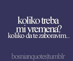 bosnian-quotes-8.jpg
