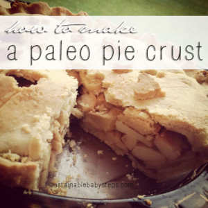 The Perfect Grain-Free Pie Crust (for Pot Pie or Fruit Pie) #paleo # ...