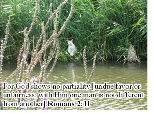 Romans 2 – our warnings against judging other people.
