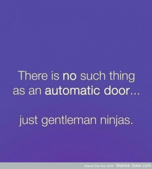 quotes funny quotes gentelman ninjas leave a reply ninja cats ...