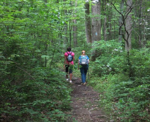 hiking-shaded-trail.jpg