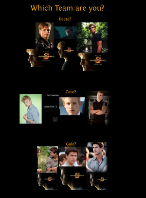 Cato Hunger Games Quotes Which hunger games team are