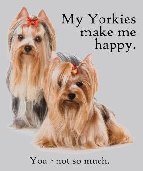 Funny picture Yorkies make me happy...