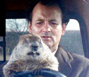 Displaying (20) Gallery Images For Bill Murray Groundhog Day...