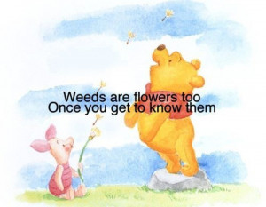 Wise Winnie the Pooh quotes7 Funny: Wise Winnie the Pooh quotes