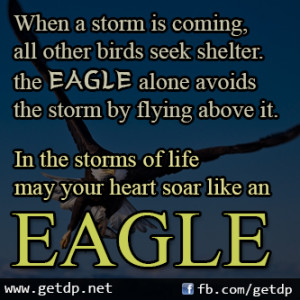 ... seek shelter. the EAGLE alone avoids the storm by flying above it