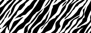 Black And White Zebra Print Facebook Cover