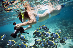 Underwater Photography - Underwater life. Girl swimming with fishes