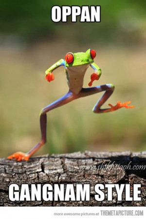 ... , Trees Frogs, Animal Quotes, Songs, Too Funny, Funny Animal, Dance