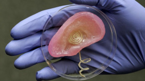 3D Printed Ear can hear audio frequencies 1 million times higher that ...