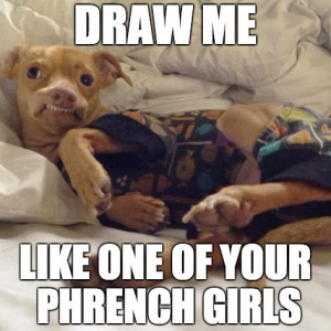 Tuna the dog - AKA Phteven