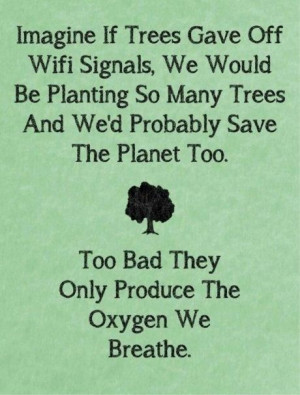 Trees are more important than you! Save planet earth