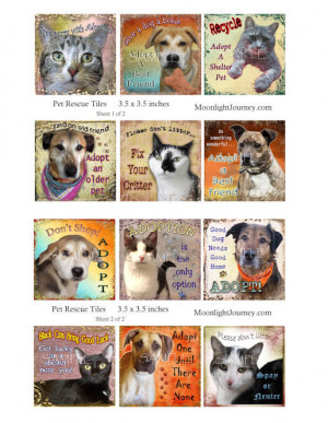 Animal Rescue Sayings Pet rescue collage sheet