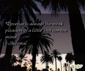 Revenge is always the weak pleasure of a little and narrow mind ...