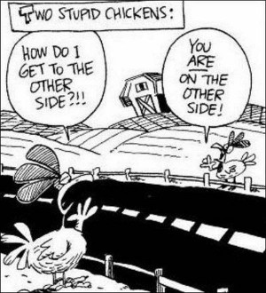 Funny cartoon – Two stupid chickens