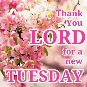 Tuesday's blessing!