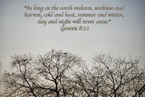 ... cold and heat, and summer and winter, and day and night shall not