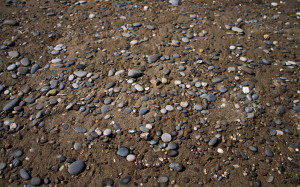 pebbles-and-sand-1680x1050-beach-background-56-1302309693.jpg