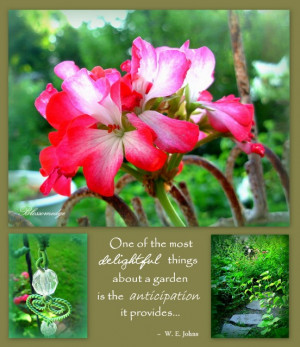 Posted in Floral Photos , Uncategorized | Leave a reply