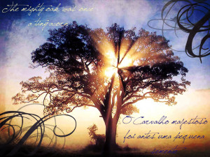 The mighty Oak was once a tiny acorn.