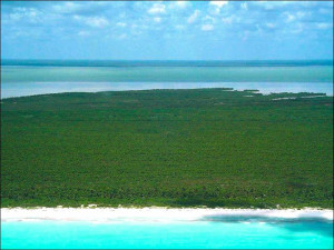 holbox island gulf of mexico meets caribbean
