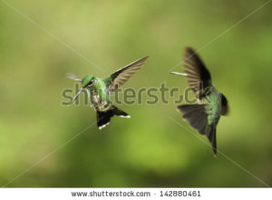 ... Pictures combat diver hooah schools t shirts gifts special forces gear