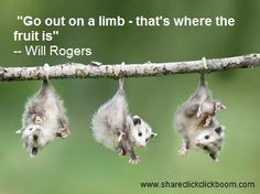 http://www.shareclickclickboom.org/ Hang in there ;) #quote #quotes # ...
