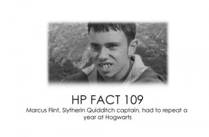 fact - Marcus Flint.: Marcus Flint, Things Harry, Hpotter Facts, Flint ...