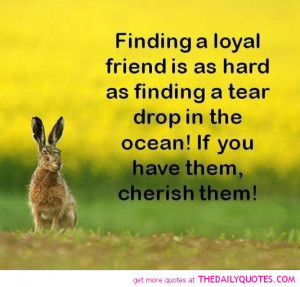Finding a loyal friend is as hard as finding a tear drop in the ocean!