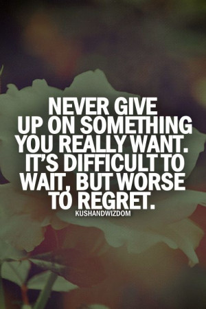 Never give up on what you really want...,