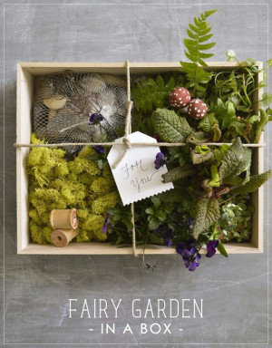 Fairy garden in a box