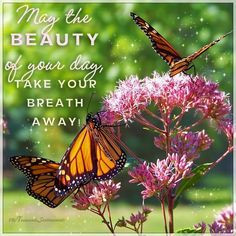 Monarch Butterfly Magnet Uplifting Quote- 