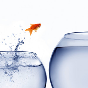 Leading Change: Image is fish jumping from one glass to the next.