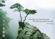 Taoism Quotes Hard taoism quote postcard