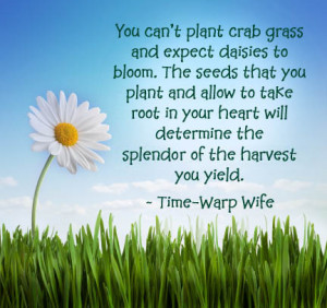 Whatsoever Things Are True Whatsoever Things Are Honest Whatsoever ...