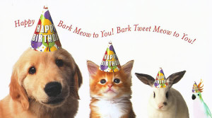 Pets birthday Wishes Photo