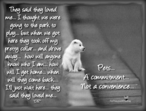 Pets… A Commitment, Not a Convenience!