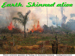 Deforestation Quote shown with photo of burning brush and timber on ...