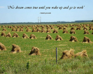 Amish Proverb-'no dream comes true until you wake up and go to work'
