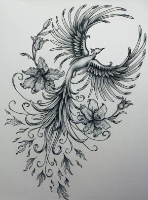 Phoenix Bird Rising Drawings Phoenix rising original art