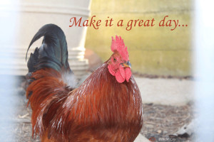 Make it a Great Day! | #119 of 365 Day Project | Musings of a