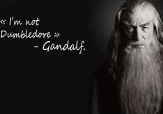 gandalf humor quotes the lord of the rings harry potter trolling ian ...