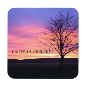 Latin Quote LIve in the Moment Drink Coasters