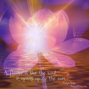 ... soul, it opens up to the sun.