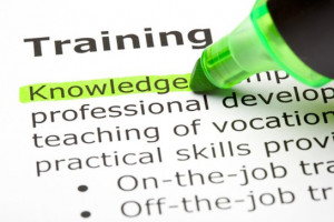 Do You Have Training Processes in Place?