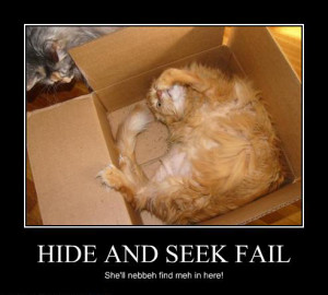 Hide And Seek Fail 2
