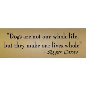 Love My Dog Quotes
